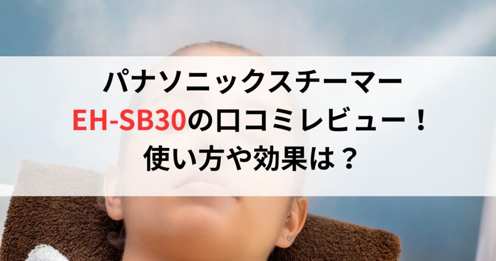 パナソニックスチーマー EH-SB30の口コミレビュー評判！ 使い方や効果は？